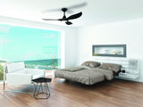 NOOSA 52 ceiling fan & light