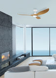 NOOSA 60 Bamboo ceiling fan & light