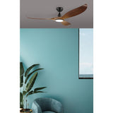 NOOSA 60 Aged Elm ceiling fan & light